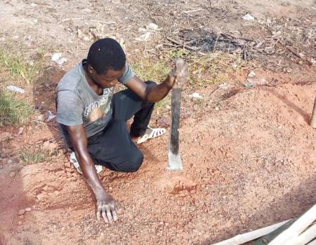 17 Juin 2021 Mise En Place De La Cloture Qui Va Abriter Les Pepinieres De Palmiers 4