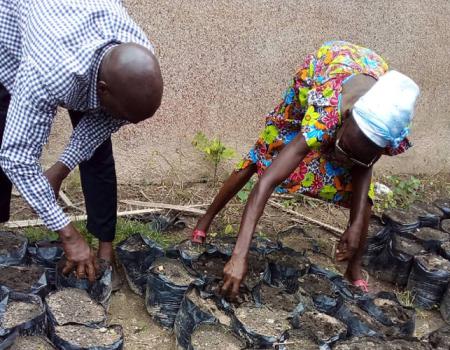 10 Juillet Desherbage Des Mauvaises Herbes Dans Les Sachets.2